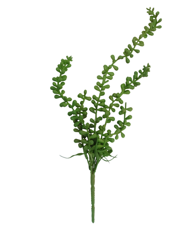 5502-426 plant green