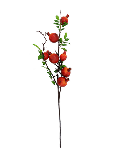 Pomegranate plant & Fruit (5502-7222)