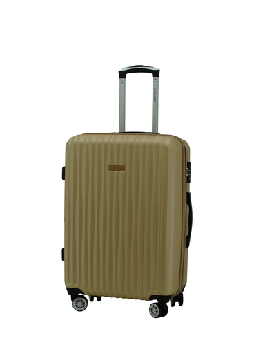 Airliner - Small Suitcase - 21"