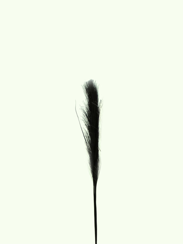 24203, Artificial Pampas Grass-Small -Asstd