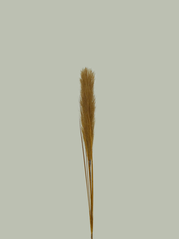 24203, Artificial Pampas Grass-Small -Asstd