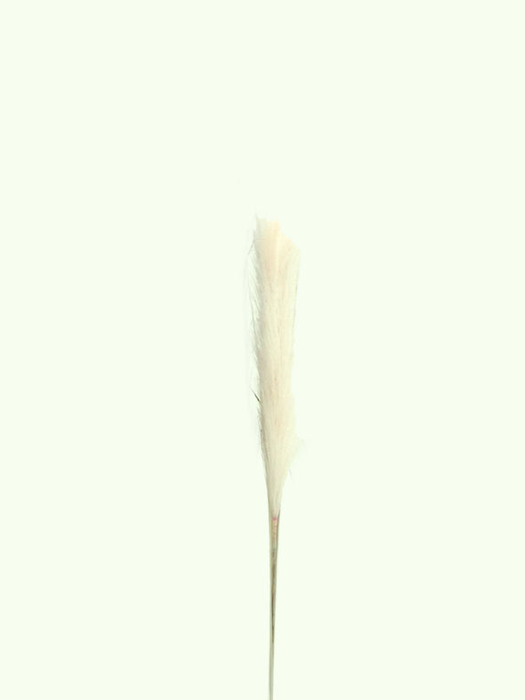 24203, Artificial Pampas Grass-Small -Asstd