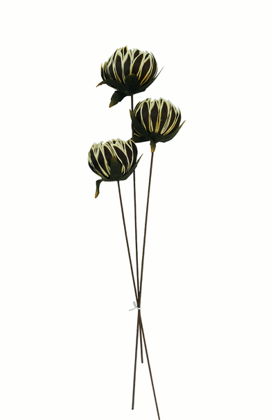 5502-6816, Dried Floral Arrangement