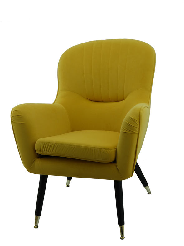 Accent Chair With Arm Rest