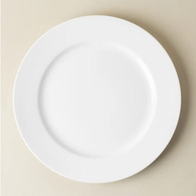 6pc 11" Dinner Plates