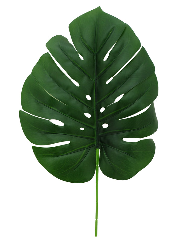 Large Monstera Leaf