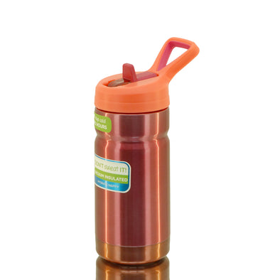 Insulated Travel Bottle